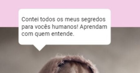 Como Ganhar Dinheiro Sem Trabalhar