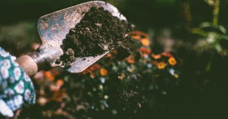 Jardinagem – Melhores opções de cursos!