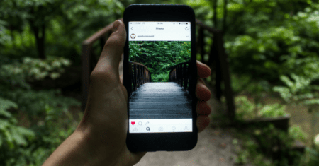 Selection of the best apps for plant identification